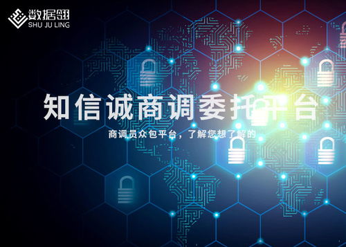 平?jīng)龃竺资袌稣{(diào)查全攻略 從目標(biāo)到渠道的實踐指南