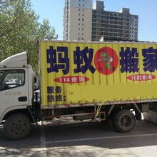 專業(yè)、高效、省心——邯鄲市邯山區(qū)螞蟻搬家渚河路服務(wù)部，您的理想搬家伙伴